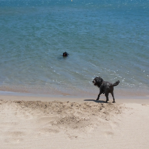 Urlaub Frankreich 2015 (51)